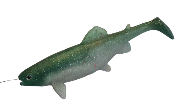 Fish body - trout