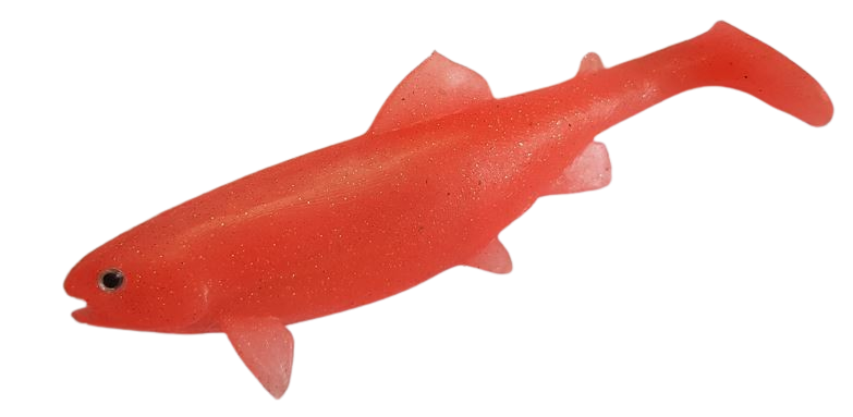 Fish body - trout