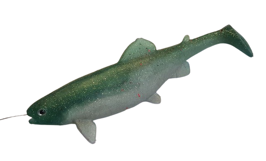 Fish body - trout 